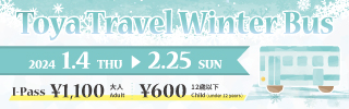 Toya Travel Winter Bus